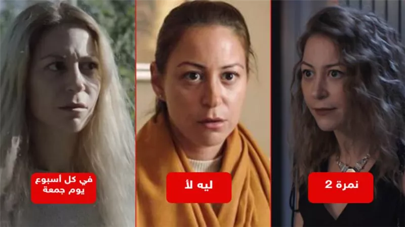 بعد عرض الجزء التاني من ليه لأ .. رحلة نجاح منة شلبي في عالم المنصات الإلكترونية
