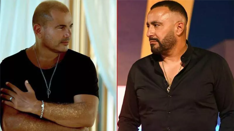 عمرو دياب فى حفله بالجونة : أحمد السقا النجم بتاعى ودايماً منور حفلاتى