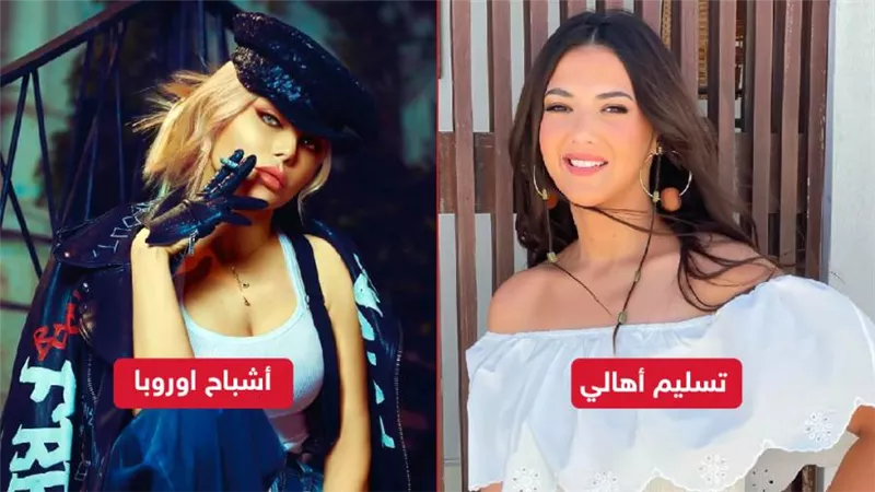 هيفاء وهبي تتفوق على دنيا سمير غانم في حصيلة إيرادات أمس بـ 3 آلاف جنيه