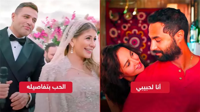 إيرادات الأمس .. أنا لحبيبي يجمع 180 ألف والحب بتفاصيله يحصد 100 جنيه فقط
