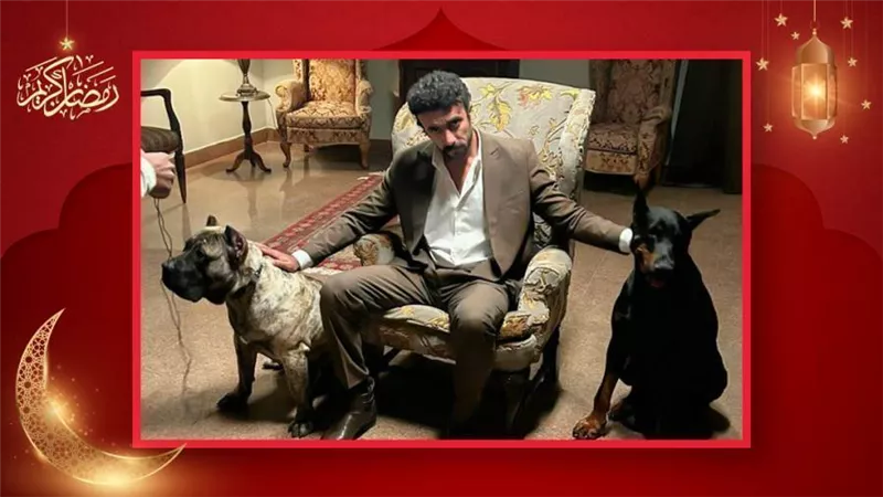 بالصور : كواليس الحلقات الأخيرة من مسلسل ضرب نار بطولة ياسمين عبدالعزيز وأحمد العوضي