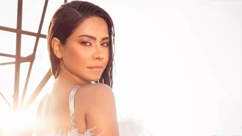 نشأتها في القلعة وثلاث زيجات وفيلم ندمت عليه .. ملخص حياة شيرين قبل فيلم نتفليكس 