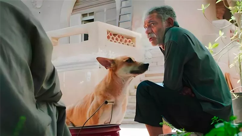 فيلم 19 ب بطولة سيد رجب يحصد 20 ألف جنيه في أول أيام عرضه